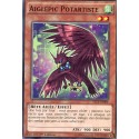 Aiglepic Potartiste (C) [SECE]