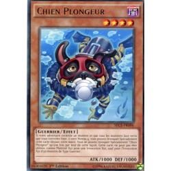 Chien Plongeur (R) [SECE]