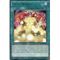 Cycle Nékroz (R) [SECE]