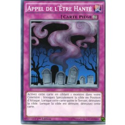Appel de l'Être Hanté (C) [SDHS]