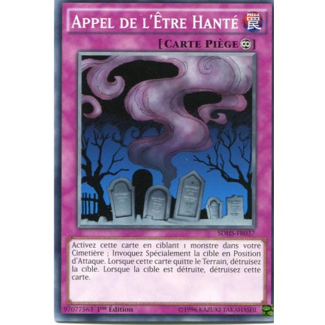Appel de l'Être Hanté (C) [SDHS]