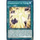 Changement de Forme (C) [SDHS]