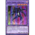 Loi des Ténèbres, HEROS Masqué (SR) [SDHS]