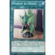 Masque du Héros (C) [SDHS]