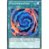 Polymérisation (C) [SDHS]