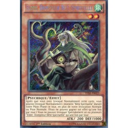 Elder, Dompteur Bête Spirituelle  (STR) [THSF]