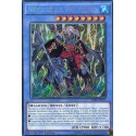 Nékroz de Valkyrus  (STR) [THSF]