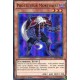 Protecteur Mortuaire  (SR) [THSF]