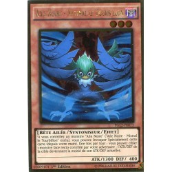Aile Noire - Mistral Le Tourbillon (GOLD) [PGL2]