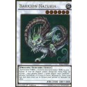Barkion Naturia (Gold Rare) [PGL2]