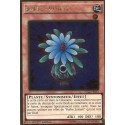 Bulbe Luisant (Gold Rare) [PGL2]