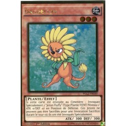 Dandelion (GOLD) [PGL2]