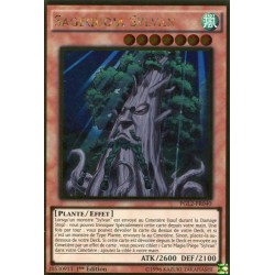 Sagequoia Sylvan (GOLD) [PGL2]