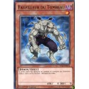 Faufilleur du Tombeau (C) [YS15]