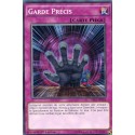 Garde Précis (C) [YS15]