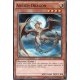 Ancien Dragon (C) [YS15]