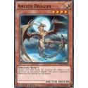 Ancien Dragon (C) [YS15]