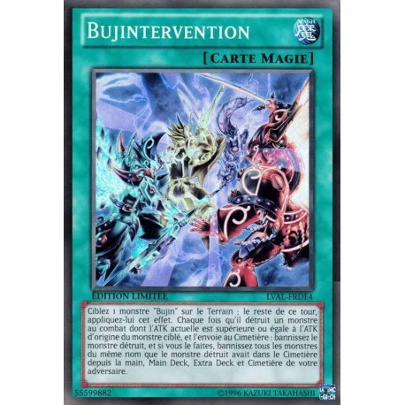 Bujintervention (SR-Promo) [LVAL]