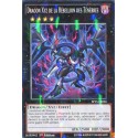 Dragon Xyz de la Rebellion des Ténèbres (SHR) [SP