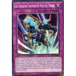 Les Chevaliers Fantômes du Voile de l'Ombre  (C) [