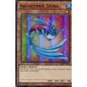 Aquactrice Tétra (SR) [DRL2]