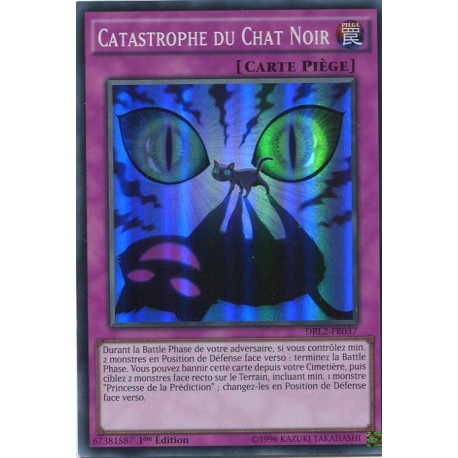 Catastrophe du Chat Noir (SR) [DRL2]