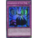 Catastrophe du Chat Noir (SR) [DRL2]