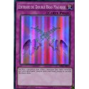 Entrave du Double Bras Magique (SR) [DRL2]