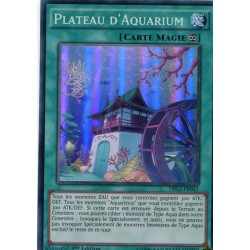 Plateau d'Aquarium (SR) [DRL2]