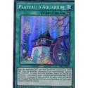Plateau d'Aquarium (SR) [DRL2]