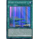Scène d'Aquarium (SR) [DRL2]