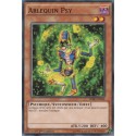 Arlequin Psy (C) [HSRD]