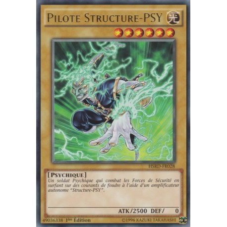 Pilote Structure-PSY  (R) [HSRD]
