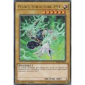 Pilote Structure-PSY (R) [HSRD]