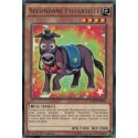 Secondâne Potartiste (R) [DOCS]