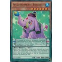 Splashmammouth Potartiste (R) [DOCS]