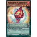 Peluchefeu Mageartiste (C) [DOCS]