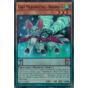 Chat Majesspectre - Nekomata (SR) [DOCS]