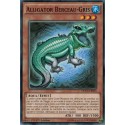Alligator Berceau-gris (C) [DOCS]