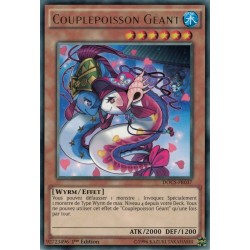 Dimension du Chaos Couplepoisson Géant (R) [DOCS]