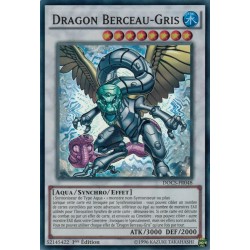 Dimension du Chaos Dragon Berceau-gris (SR) [DOCS]
