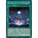 Renaissance Du Mélange (C) [DOCS]