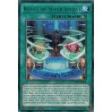Rituel Du Super Soldat (R) [DOCS]