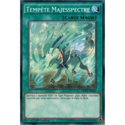 Dimension du Chaos Tempête Majesspectre (C) [DOCS]