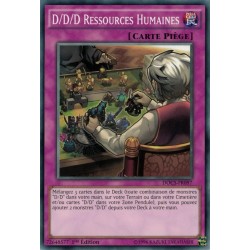 Dimension du Chaos D/d/d Ressources Humaines (C) [DOCS]