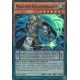 Magicien Balourdragon (SR) [SDMP]