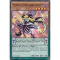 Potartiste Cranecrobate Arlequin (C) [SDMP]