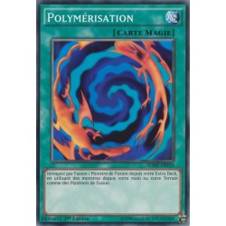 Polymérisation (C) [SDMP]