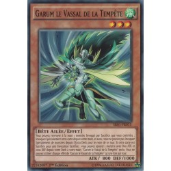 Garum le Vassal de la Tempête (C) [SR01]