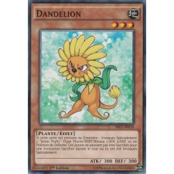 Dandelion (C) [SR01]